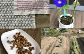 Build a new way of life. 働き方をつくる 働くママたち/丹青ヒューマネット